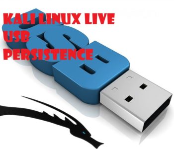 kali linux usb persistence 0